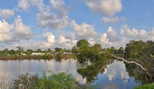 Venice Area Audubon Rookery