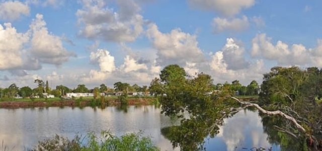 Venice Area Audubon Rookery