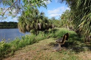 Rothenbach Park Sarasota