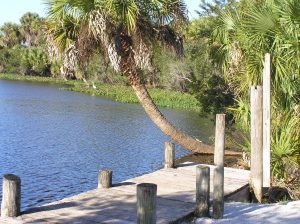 Oscar Scherer State Park