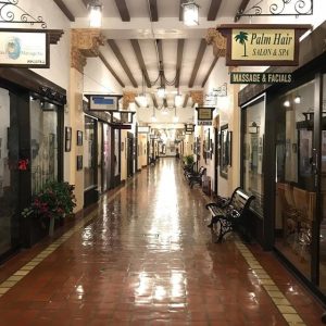 Venice Florida Tours 4