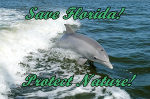 Villa Happy Gator Venice