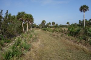 Lemon Bay Preserve