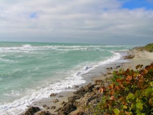 Caspersen Beach Venice