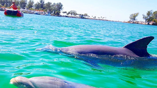 Discover North Jetty Beach, Florida: A Hidden Gem for Travelers