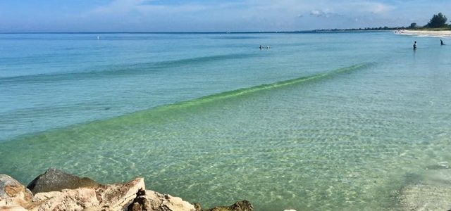 Best Beaches of SW Florida: North Jetty Beach Park at Casey Key