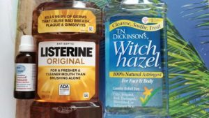 Mosquitoes in Florida