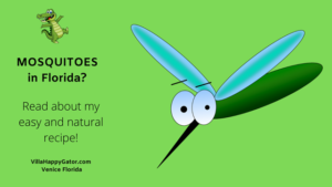 Mosquitoes in Florida