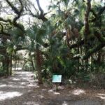 Rothenbach Park in Sarasota