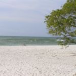 Barefoot Beach in Naples