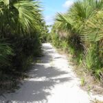 A perfect hike to the beach