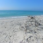 012-Private Beach South Venice