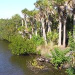 Caspersen Beach - Villa Happy Gator