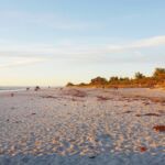 02_Manasota Beach Venice