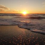 06_Manasota Beach Venice