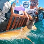 Mote Aquarium Sarasota