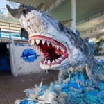 Mote Aquarium Sarasota