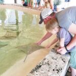 Mote Aquarium Sarasota