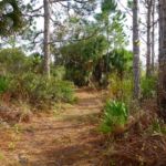 Lemon Bay Preserve