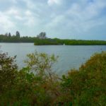 Lemon Bay Preserve