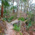 Alafia River Statepark