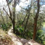 Alafia River Statepark