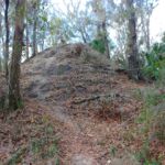 Alafia River Statepark