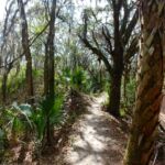 Alafia River Statepark