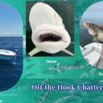 boat tours in Venice